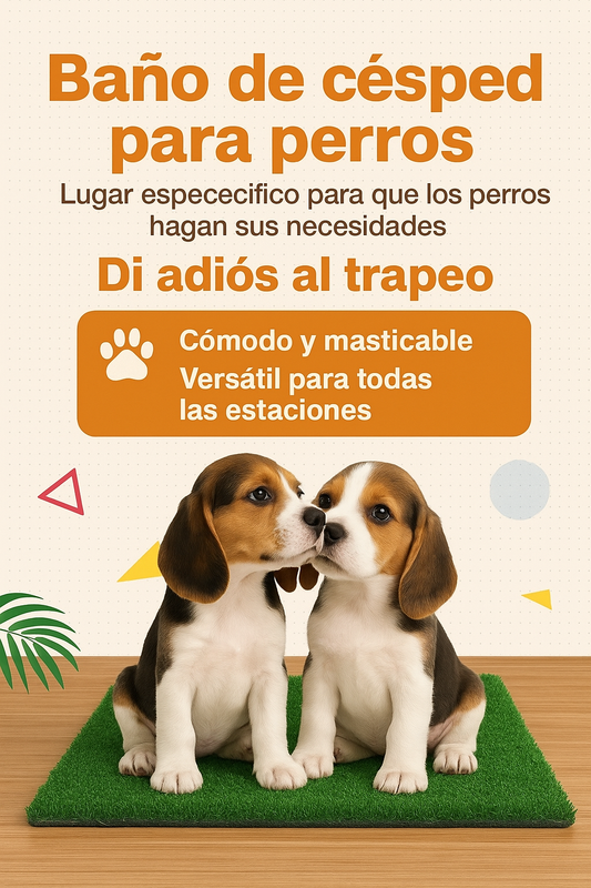 Alfombra Césped para Perros